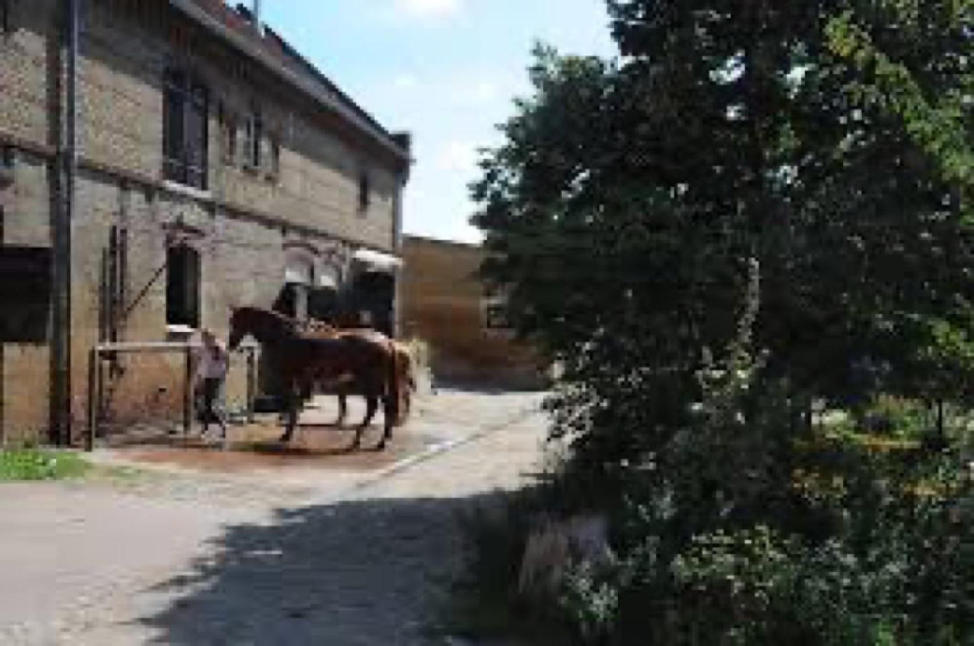 Ferienwohnungen Luisenhof Paretz Exterior foto